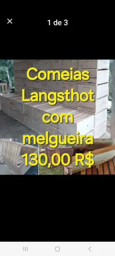 Ninho e melgueira para abelhas 