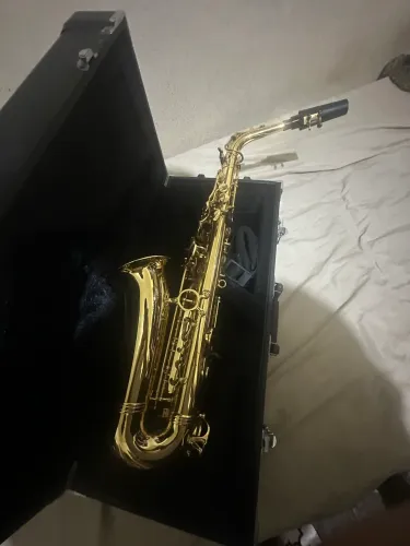 Sax Alto Eagle SA_501