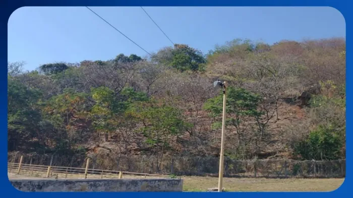 TERRENO - Área 5, Rua do Frigorífico, Altinópolis, Governador Valadares/MG, Área de 20.000