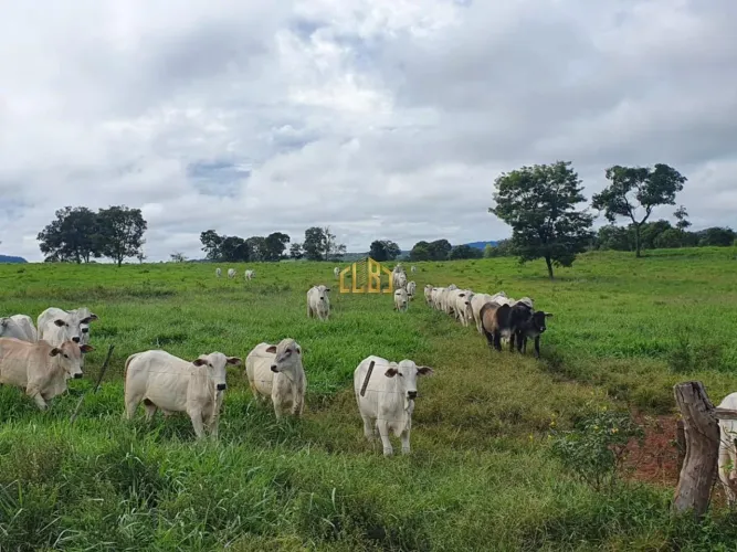Fazenda á venda dupla aptidão em Dom Aquino - MT