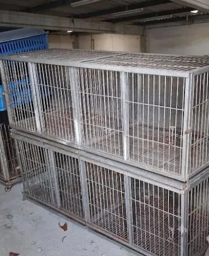 Canil de ferro para pet shop