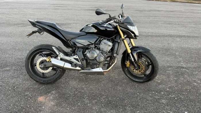 Hornet 2013