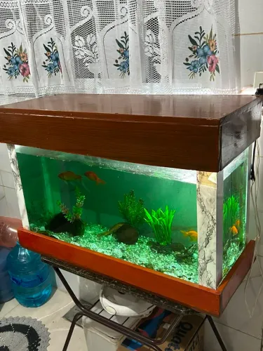 Aquário