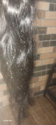 Cabelo humano