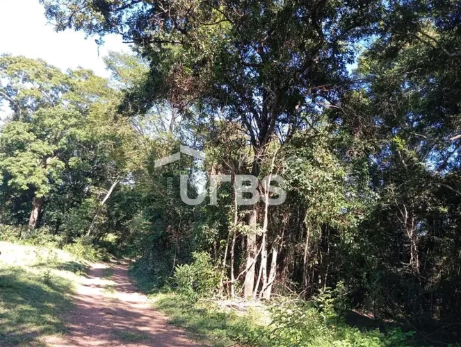 Oportunidade de chacará com mata exuberante