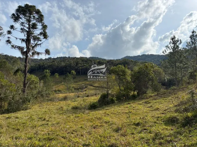 Terreno Rural para Venda em Angelina, ALTO GARCIA