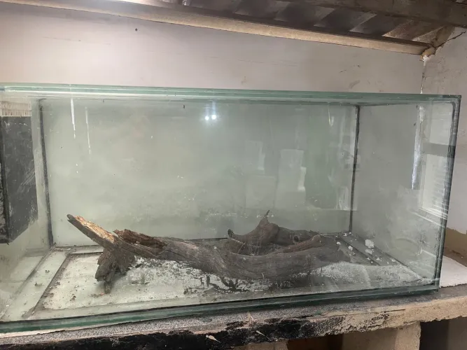 AQUÁRIO DE 120 CM - IDEAL PARA ÁGUA DOCE OU MARINHA!