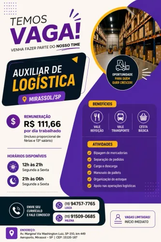 Auxiliar logística 