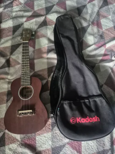 Ukulele Michael 