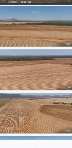Fazenda Arrendamento pra Soja 888 hec em Ipoeiras TO.