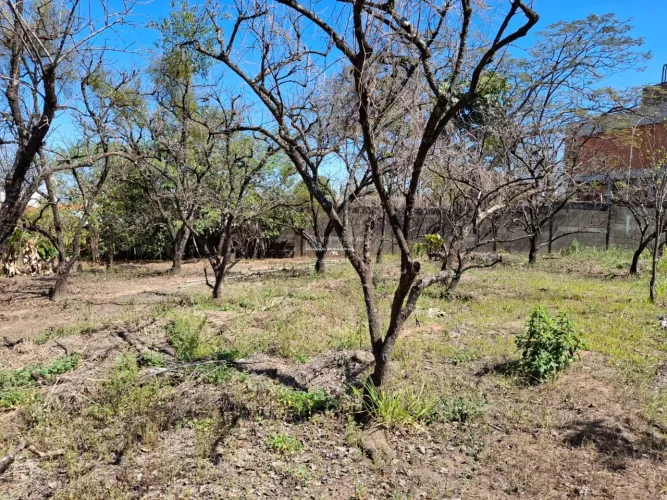 Terreno à venda no bairro Jardim Elite, Piracicaba.