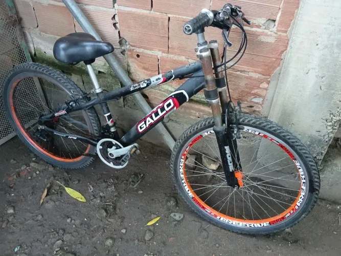 Bicicleta gallo