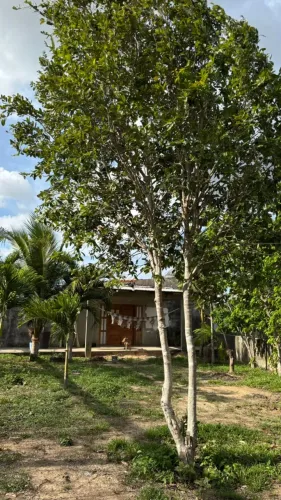 Vende-se Casa no Km 9, 2 quartos e 1 suíte, 975 m² murado