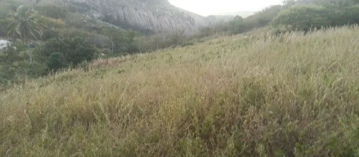 Vende-se terreno próximo à Pedra da Boca - PB