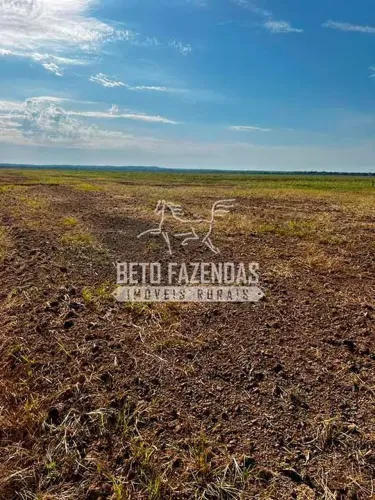 Fazenda/Sítio/Chácara para venda com metros quadrados em Centro - Serra Nova Dourada - MT