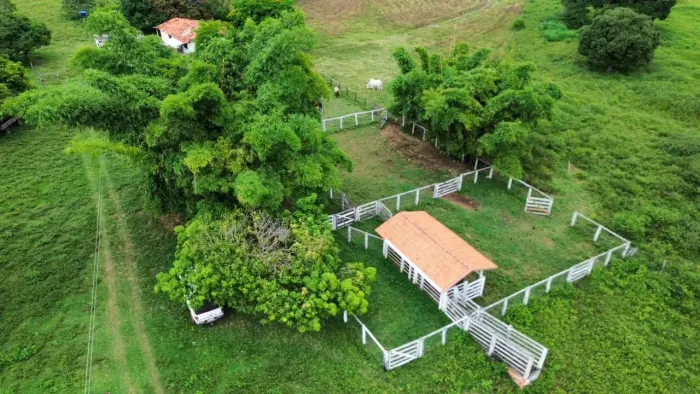 Fazenda a venda, em Varjão / Goiás!!!