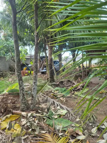 Lote em Morada da Barra