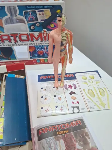 Jogo Anatomia