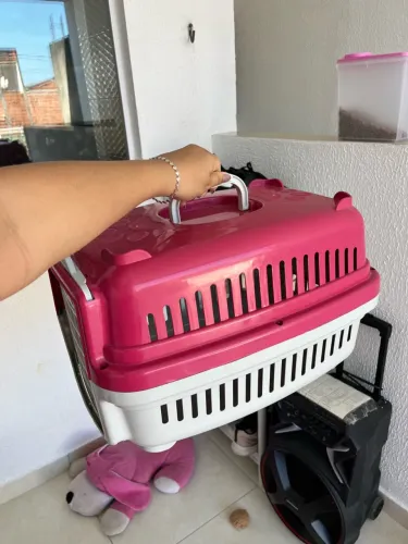 Caixa de transporte PET nova 