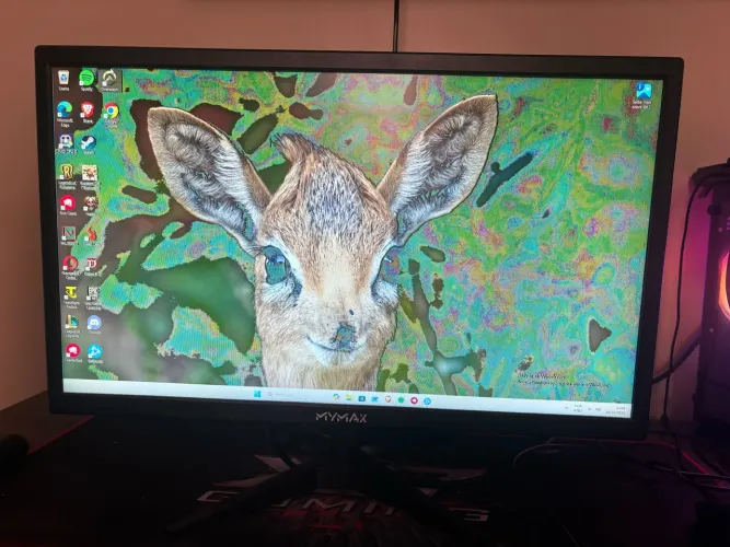Monitor MYYMAX 21 polegadas - Com defeito na tela
