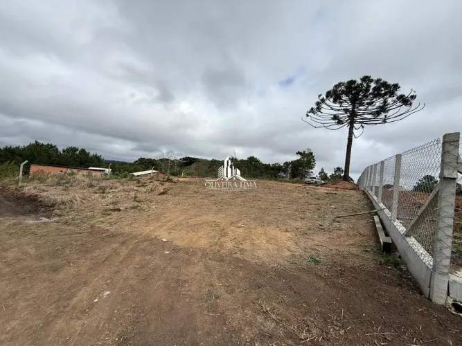 TERRENO À VENDA REGIÃO DO JARDIM NEZITA / CAMPINA GRANDE DO SUL REF: 1289