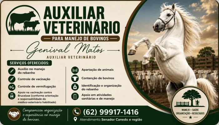 Compromisso, organização e experiência no manejo de bovinos.