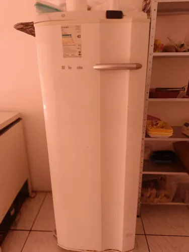 Freezer vertical