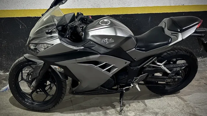 Ninja 300 2013 Cinza