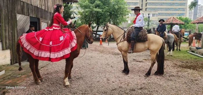 Cavalos A venda. Baio cabos negro e  tostado