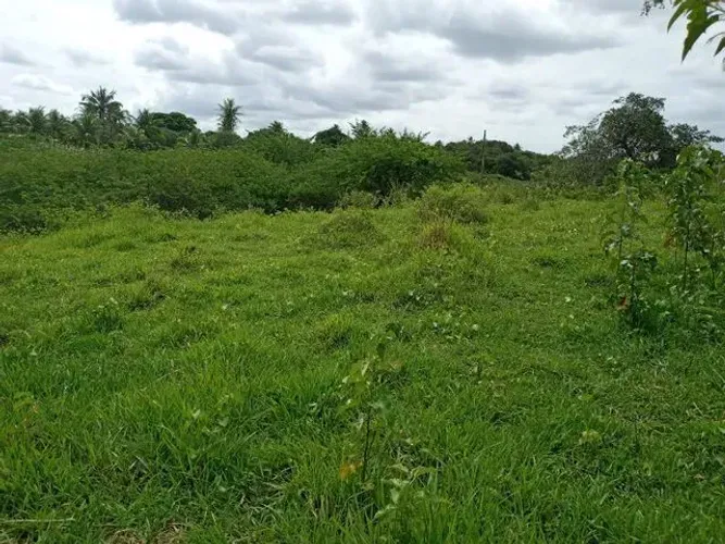 Fazenda com 200 hectares na região de São Gonçalo do Amarante