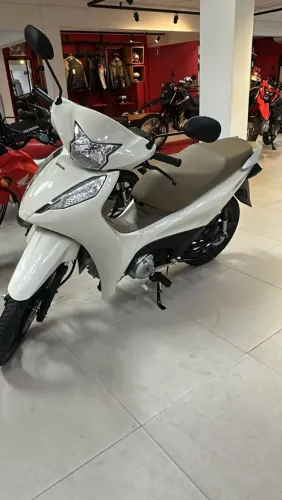 Biz ex 2027. 0km bege