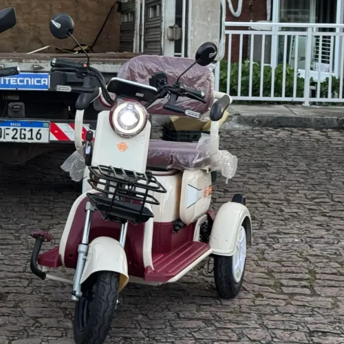 TRICICLO ELÉTRICO 1000W
