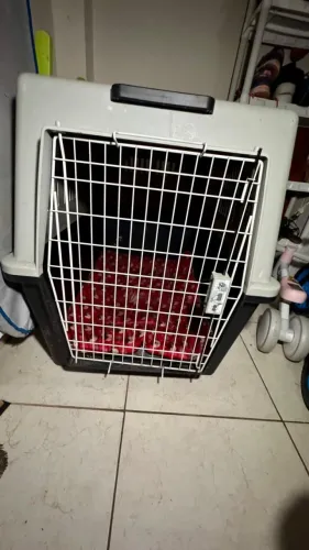Ferplast ATLAS 70 - Caixa para transporte de cachorro