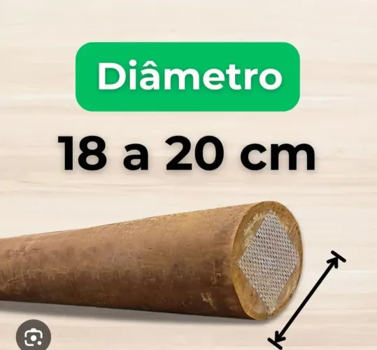 Eucalipto Tratado
