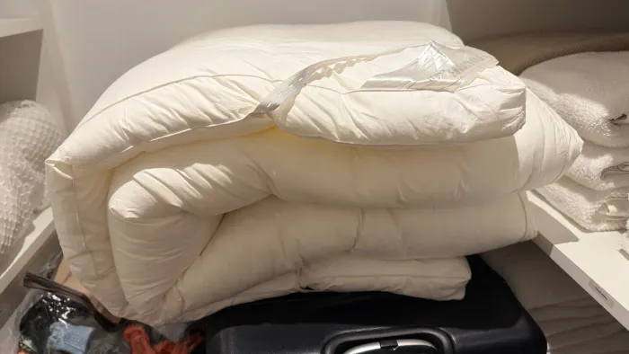 Pillow Top Buddemeyer Vision Fill Gold Queen