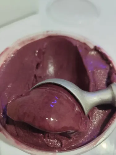Potes 1 litro açai e sorvete