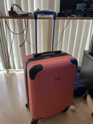 Mala de bordo Baggagio rosa