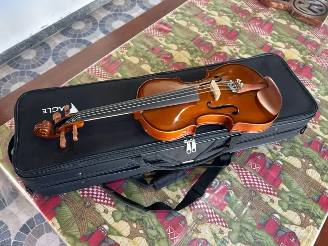 Vendo Violino VE-441