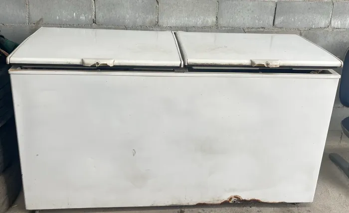 Freezer Horizontal 