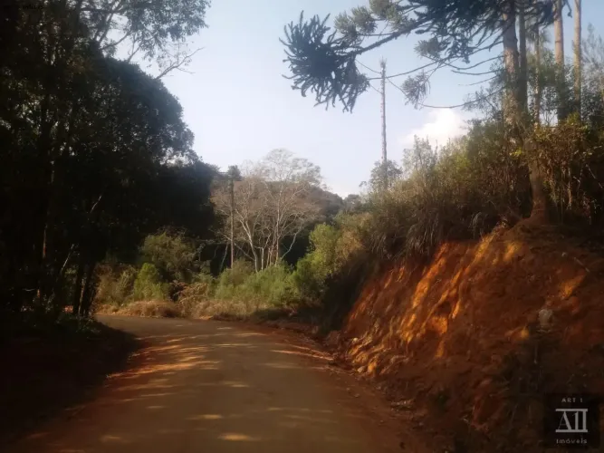 Chácara para Venda em Mandirituba, ESPIGÃO DAS ANTAS