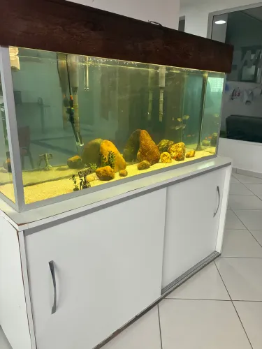 Aquário 250 litros