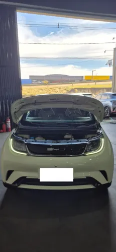 BYD Dolphin EV (Elétrico) 2024
