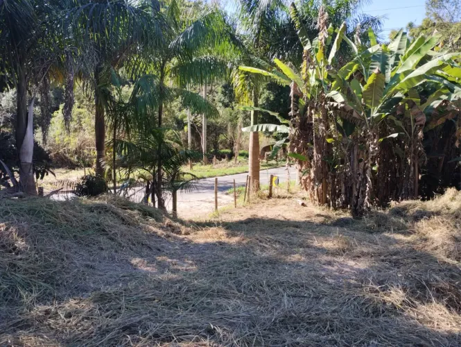 Sítio com 4,6 hectares