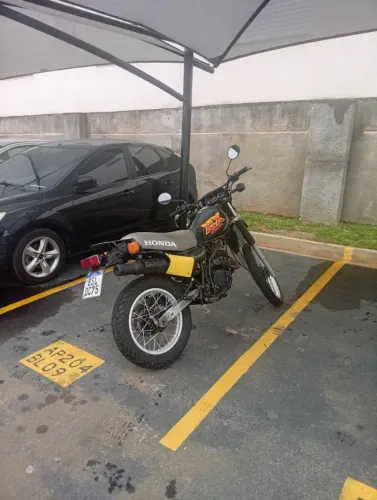 XlX 250