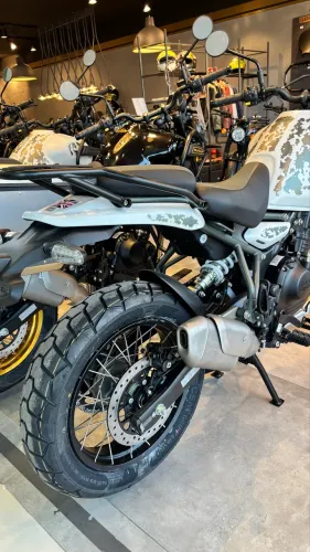 Himalayan 450 - Danielle 