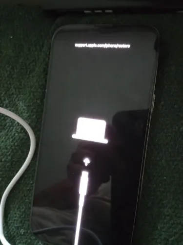 IPHONE 13 PRO MAX LEIA ANUNCIO