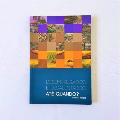 (Aceito cartão) Livro Desempregados e Desalentados: Até Quando? de Paulo R. Haddad