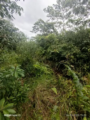 Terrenos plano 15.000 mil com contrato Garuva ótima rio tamanduá 50x 1000