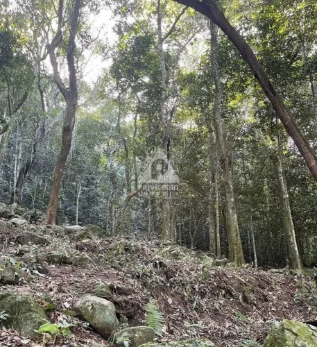 ## **Lote de Terreno em São Conrado  2.400 m² | RGI OK | Vista Mar e Natureza**