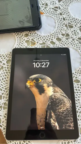 iPad + case protetora